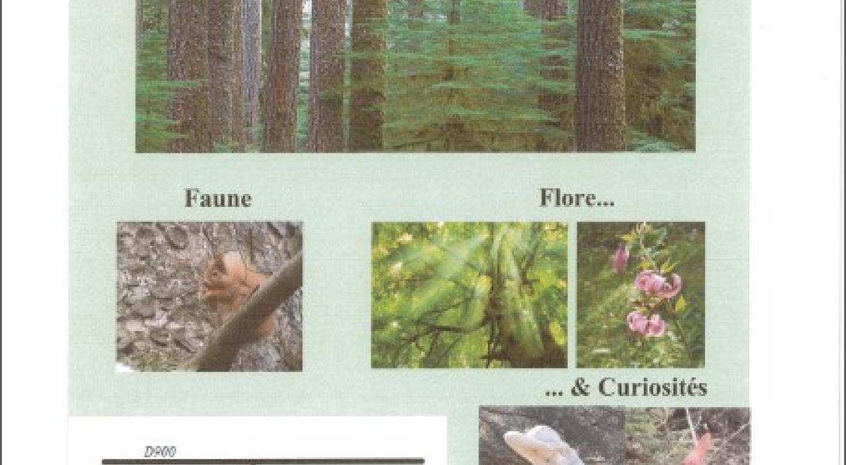 ARBORETUM LES JARDINS DE LA GRISOUILLE AFFICHE ARBORETUM FANETTE