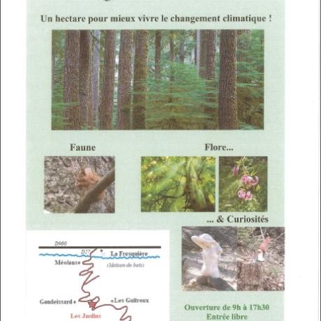 AFFICHE ARBORETUM FANETTE
