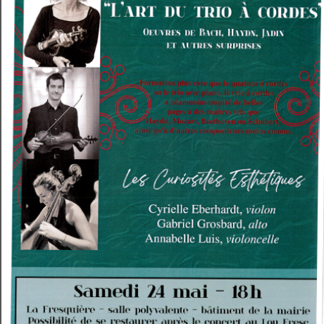 AFFICHE CONCERT CURIOSITES ESTHETIQUES