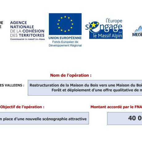 AFFICHE ESPACE VALLEEN SUBVENTION