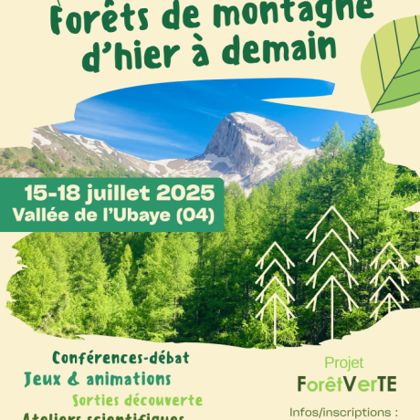 AFFICHE FORÊT DE MONTAGNE D'HIER À DEMAIN