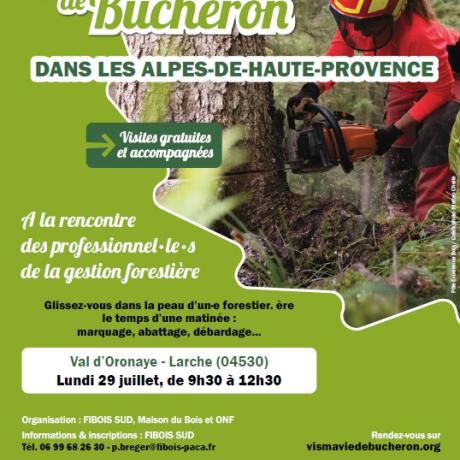 VIS MA VIS DE BUCHERON A LARCHE