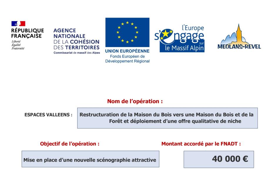 AFFICHE ESPACE VALLEEN SUBVENTION