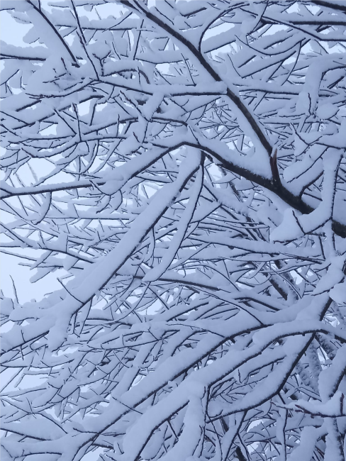 neige neige